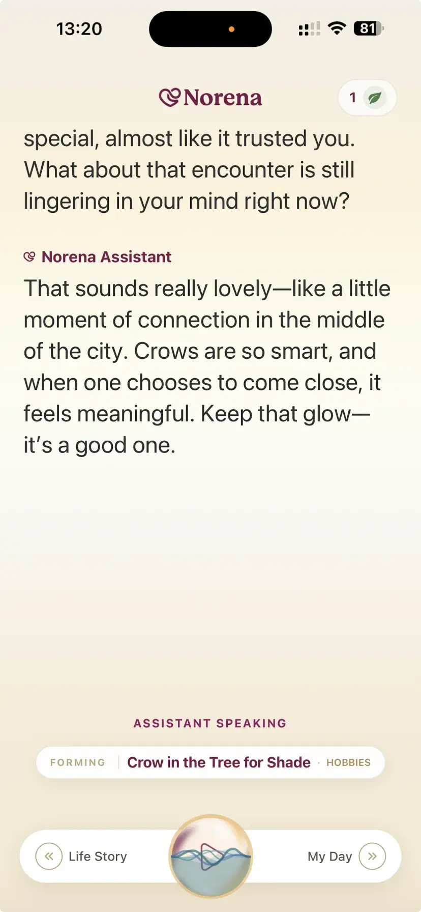 A Norena conversation being turned into a life story